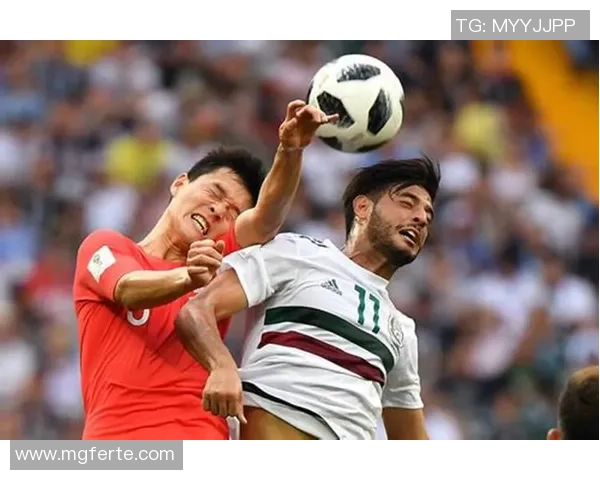 重庆网球队战术引发热议球迷与专家各执己见的背后故事